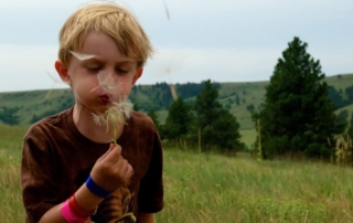 Boy blowing pollen off a dandelion.