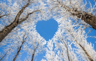 Winter tree branches forming a heart shape.