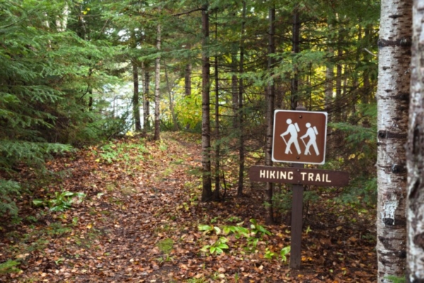 Fall hiking trail.